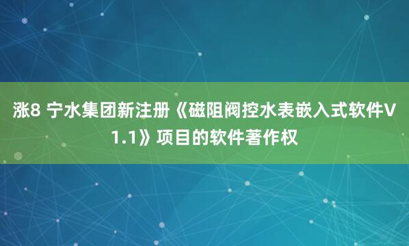 涨8 宁水集团新注册《磁阻阀控水表嵌入式软件V1.1》项目的软件著作权