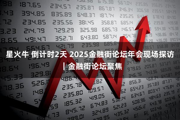 星火牛 倒计时2天 2025金融街论坛年会现场探访 ｜金融街论坛聚焦