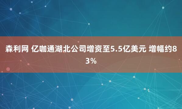 森利网 亿咖通湖北公司增资至5.5亿美元 增幅约83%