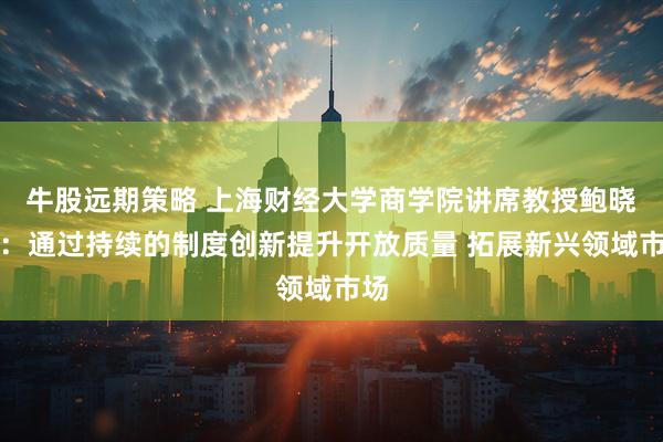 牛股远期策略 上海财经大学商学院讲席教授鲍晓华：通过持续的制度创新提升开放质量 拓展新兴领域市场