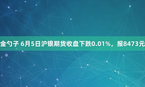 金勺子 6月5日沪银期货收盘下跌0.01%，报8473元