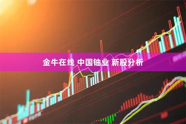 金牛在线 中国铀业 新股分析